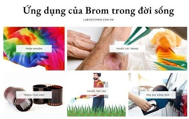 Kim Loại Fe Không Phản Ứng Với Dung Dịch Nào? Giải Thích Chi Tiết