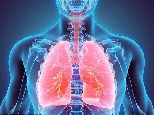 Sản Phẩm Của Hô Hấp Tế Bào Gồm Những Gì? Giải Thích Chi Tiết