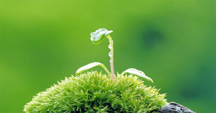 Nghị Luận Về Thái Độ Sống Tích Cực: Bí Quyết Thành Công Và Hạnh Phúc Nghị Luận Về Thái Độ Sống Tích Cực: Bí Quyết Thành Công Và Hạnh Phúc