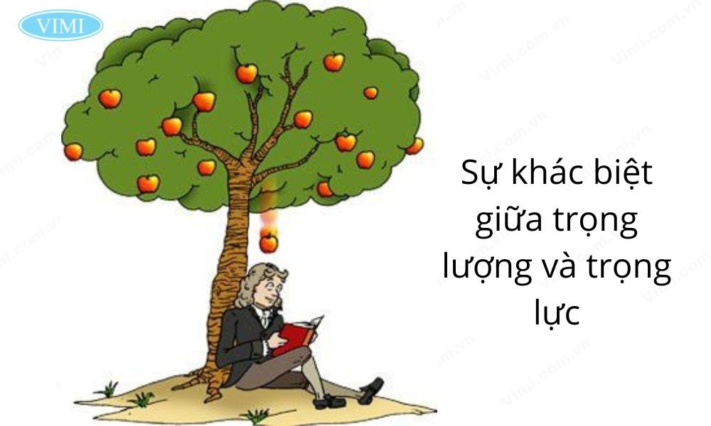Sự khác biệt giữa trọng lượng và trọng lực