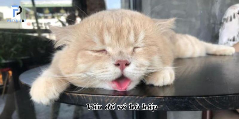 Trong Lòng Mỗi Người Đều Có Một Ánh Trăng Sáng: Ý Nghĩa Và Cách Tìm Kiếm?