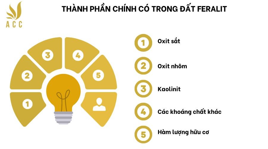 Thành phần chính của đất feralit bao gồm oxit sắt, oxit nhôm và kaolinit