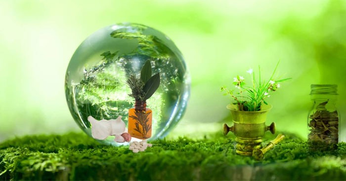 Viết Đoạn Văn Về Tình Yêu Thiên Nhiên Lớp 7 Hay Nhất? Viết Đoạn Văn Về Tình Yêu Thiên Nhiên Lớp 7 Hay Nhất?