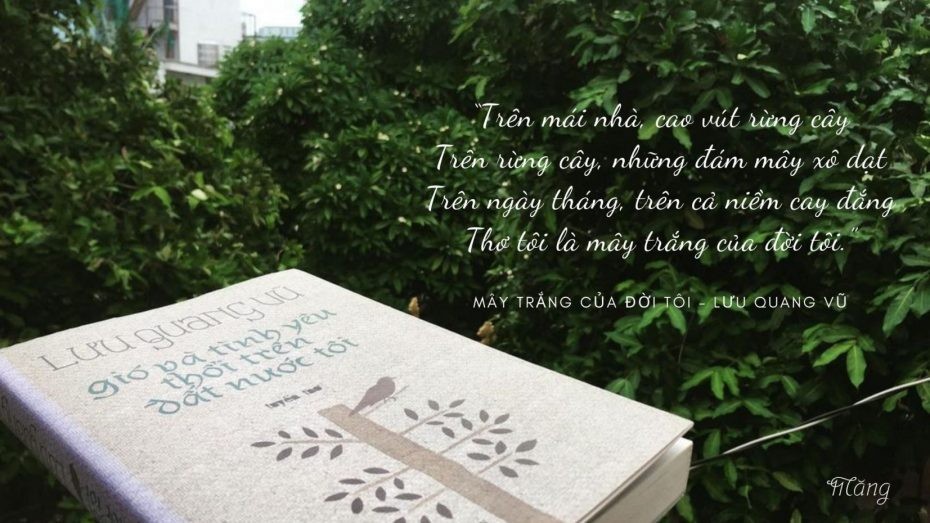 Đất Nước Tôi Qua Cảm Nhận Của Lưu Quang Vũ Có Những Đặc Điểm Gì? Đất Nước Tôi Qua Cảm Nhận Của Lưu Quang Vũ Có Những Đặc Điểm Gì?