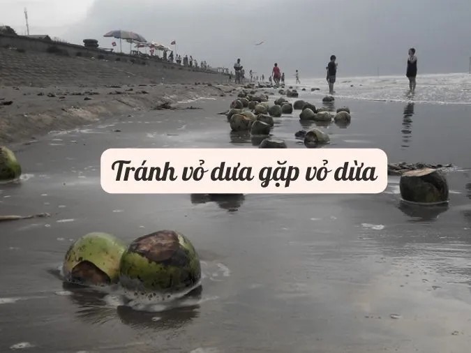 Tránh Vỏ Dưa Gặp Vỏ Dừa Nghĩa Là Gì? Giải Thích Chi Tiết Tránh Vỏ Dưa Gặp Vỏ Dừa Nghĩa Là Gì? Giải Thích Chi Tiết