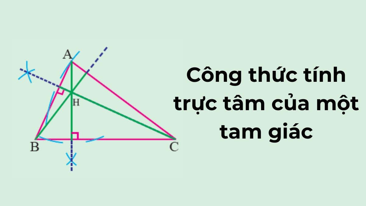Cách Tìm Điểm Thuộc Đồ Thị Hàm Số Nhanh Chóng và Chính Xác?