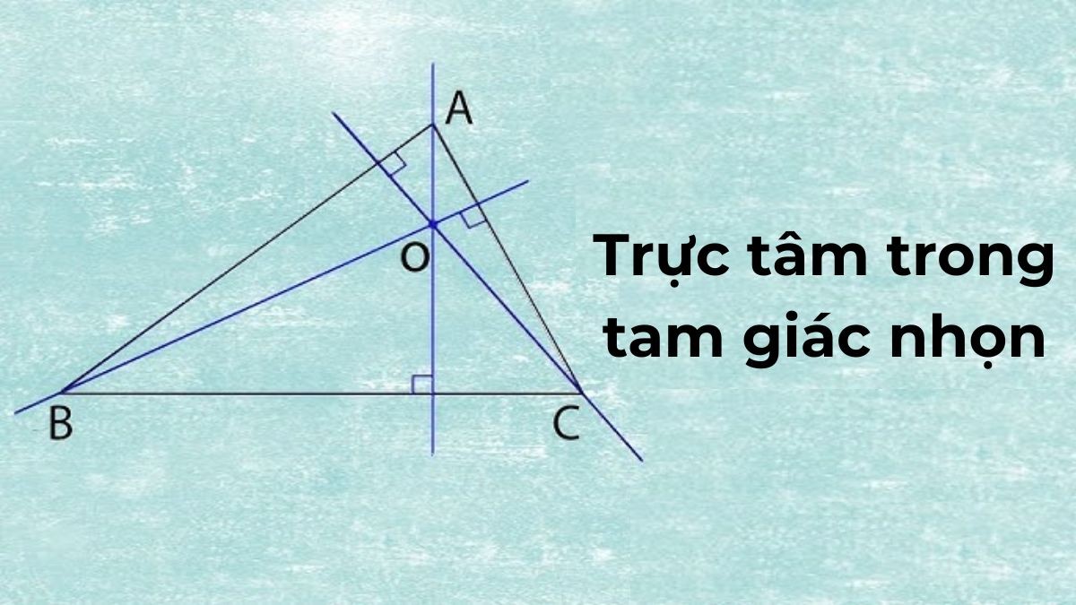 Cách Tìm Điểm Thuộc Đồ Thị Hàm Số Nhanh Chóng và Chính Xác?