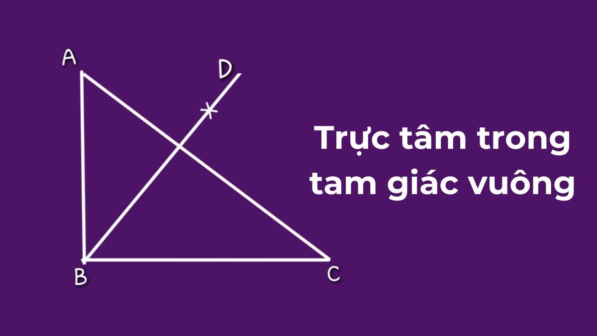 Cách Tìm Điểm Thuộc Đồ Thị Hàm Số Nhanh Chóng và Chính Xác?