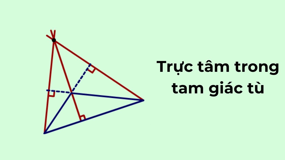 Cách Tìm Điểm Thuộc Đồ Thị Hàm Số Nhanh Chóng và Chính Xác?