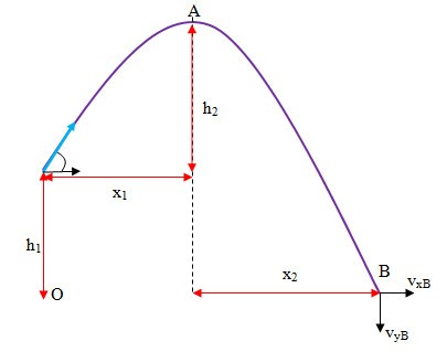 Ném Ngang Ở Độ Cao 80m: Giải Chi Tiết, Công Thức Và Bài Tập